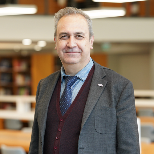 Professor Dr. Ramadan YAMAN