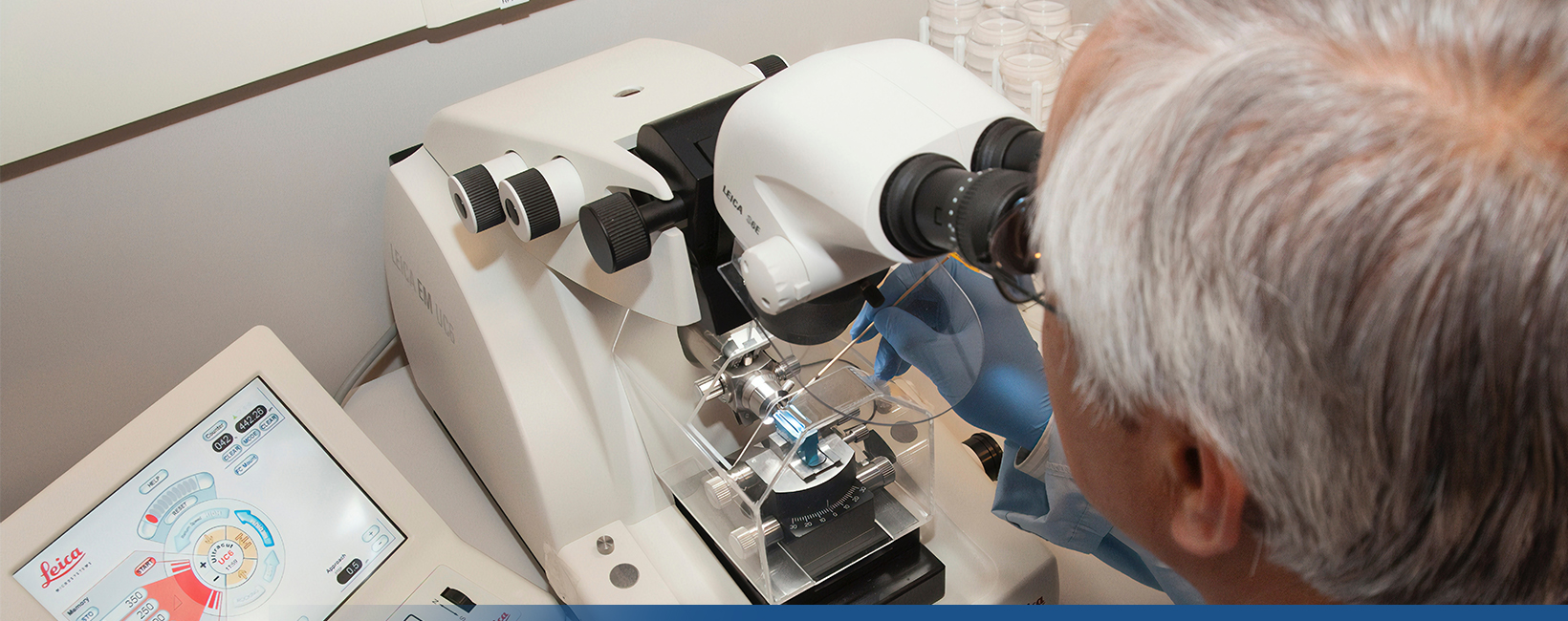 Molecular Biology And Genetics (English)